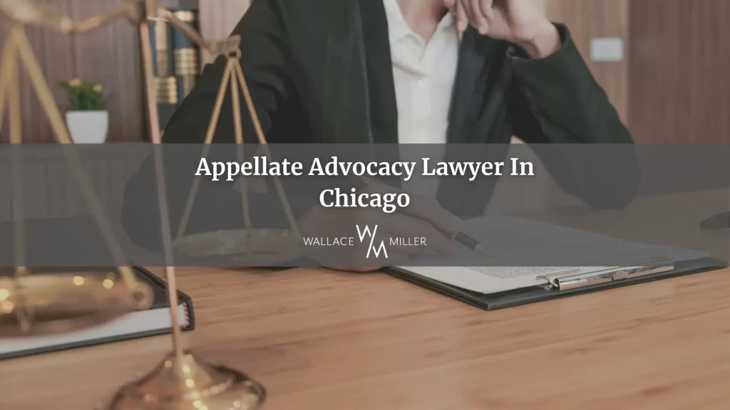 Appellate Advocacy Lawyer In Chicago