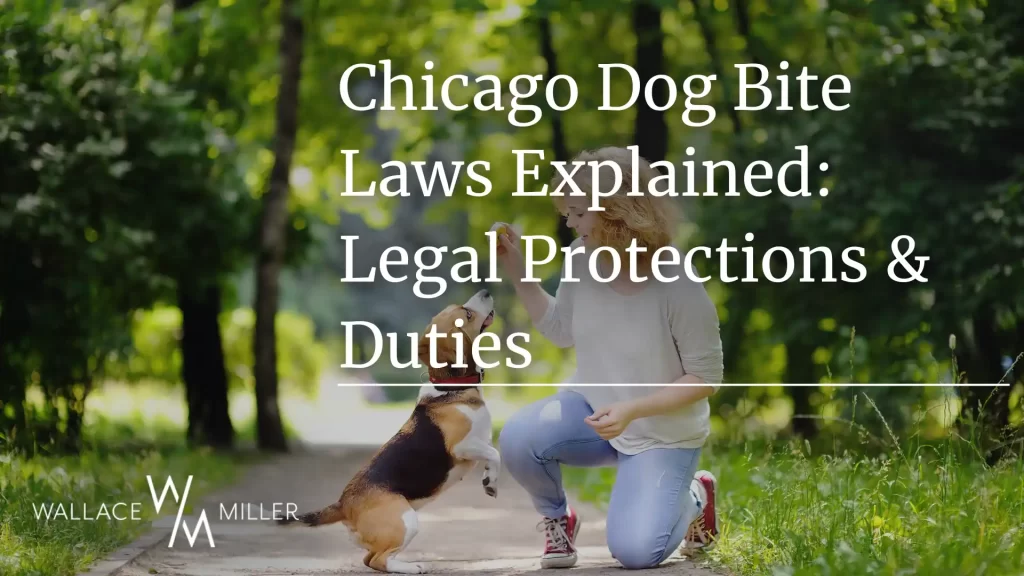 Chicago Dog Bite Laws Explained_ Legal Protections & Duties