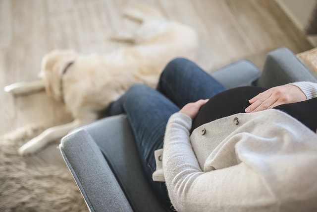 A woman cradles her pregnant belly while sitting by a dog.