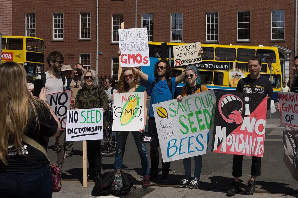 a-group-of-people-protesting-against-gmos roundup